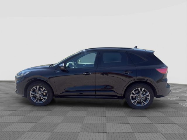 Ford Kuga Kuga 2.0 EcoBlue 120CV aut. AWD ST-Line X - foto 2 di 4