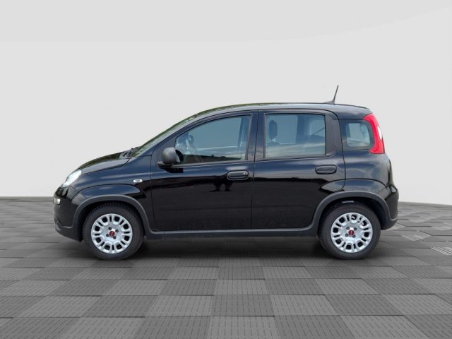 Fiat Panda Panda 1.0 FireFly S&S Hybrid - foto 2 di 16