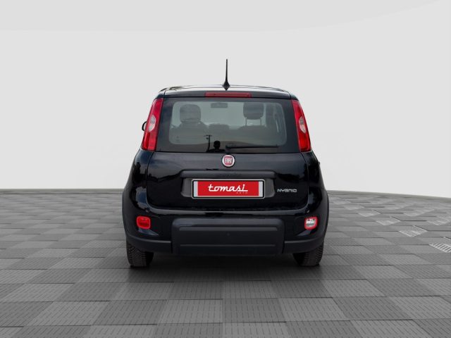 Fiat Panda Panda 1.0 FireFly S&S Hybrid - foto 4 di 16