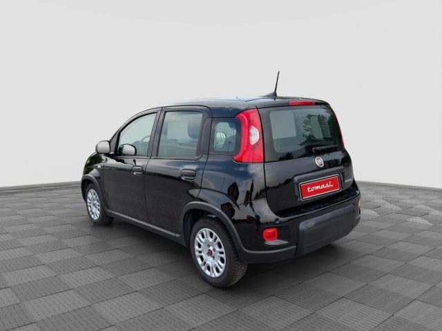 Fiat Panda Panda 1.0 FireFly S&S Hybrid - foto 3 di 16