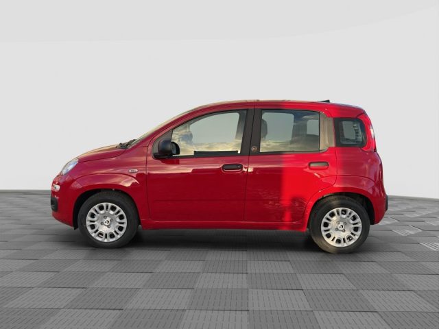 Fiat Pandina Pandina 1.0 FireFly 65 CV Hybrid Icon - foto 2 di 4