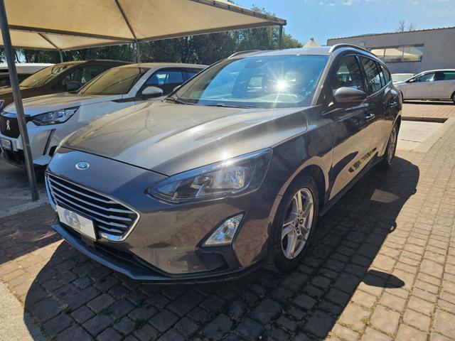 Ford Focus 1.5 EcoBlue 120 CV SW Business usato a SINISCOLA