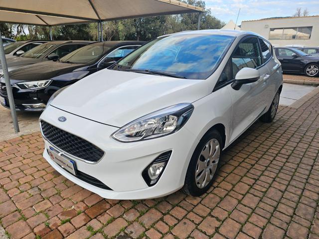 Ford Fiesta 1.5 TDCi 85 CV 3 porte Van Trend usato a SINISCOLA