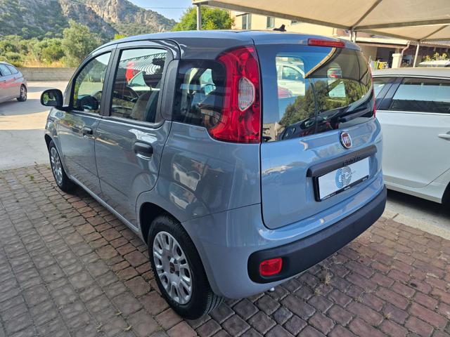 Fiat Panda 1.0 FireFly S&S Hybrid usato a SINISCOLA