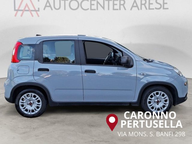 Fiat Panda 1.0 FireFly S&S Hybrid, del 2023, 9.900 km, in vendita a Caronno Pertusella (VA)