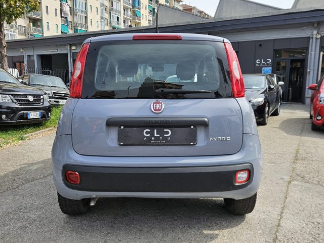 Fiat Panda 1.0 FireFly S&S Hybrid - foto 3 di 4
