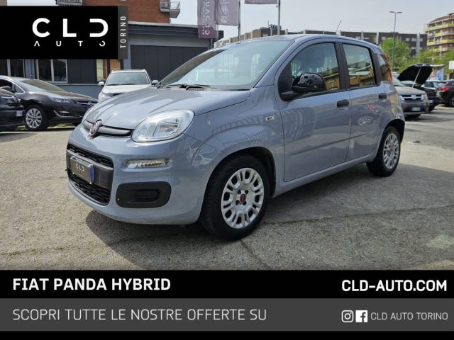 Fiat Panda 1.0 FireFly S&S Hybrid usato a TORINO