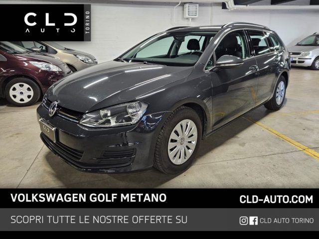 Volkswagen Golf Variant 1.4 TGI BlueMotion usato a TORINO