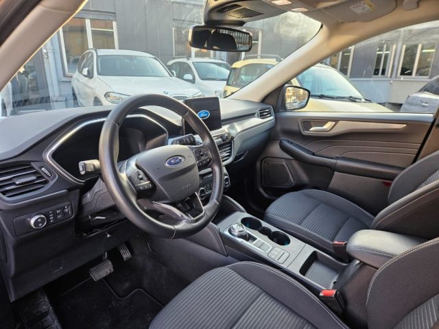 Ford Kuga 1.5 EcoBlue 120 CV 2WD usato a TORINO