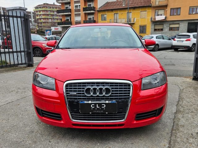Audi A3 SPB 2.0 16V TDI quattro usato a TORINO