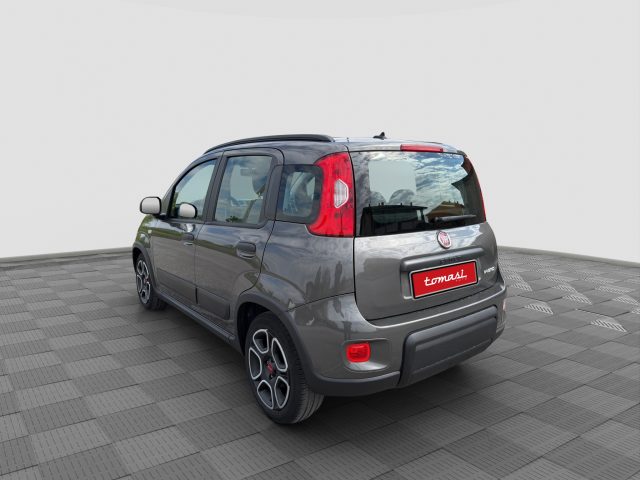 Fiat Panda Panda 1.0 FireFly Hybrid City Life - foto 3 di 4