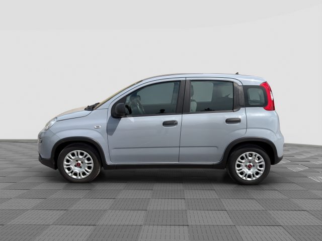 Fiat Panda Panda 1.0 FireFly Hybrid City Life - foto 2 di 4