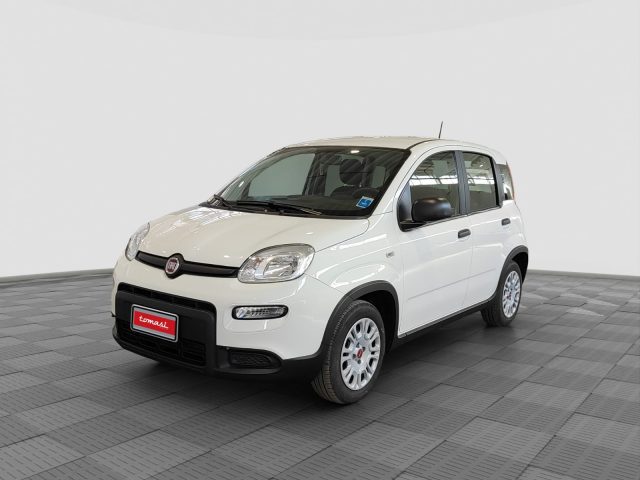Fiat Panda Panda 1.2 EasyPower usato a MILANO