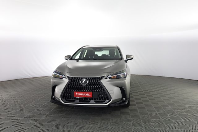 Lexus Other NX NX Hybrid 4WD Business usato a MILANO