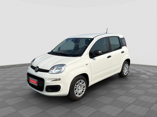 Fiat Panda Panda 1.0 FireFly S&S Hybrid Pandina usato a MILANO