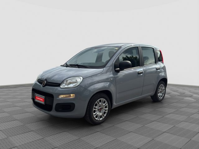 Fiat Panda Panda 1.0 FireFly Hybrid usato a MILANO