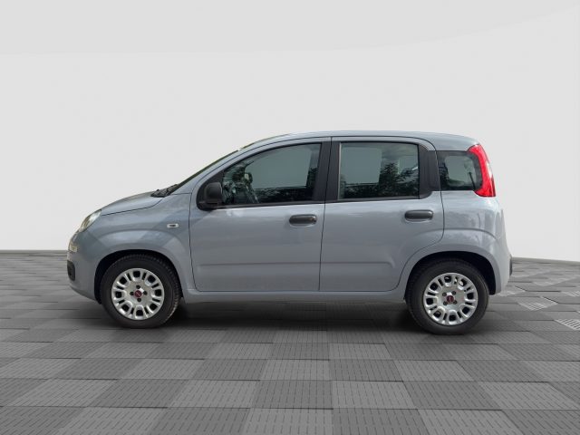 Fiat Panda Panda 1.0 FireFly Hybrid - foto 2 di 4