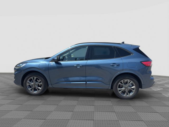 Ford Kuga Kuga 2.5 Plug In Hybrid 225 CV CVT 2WD ST-Line - foto 2 di 4