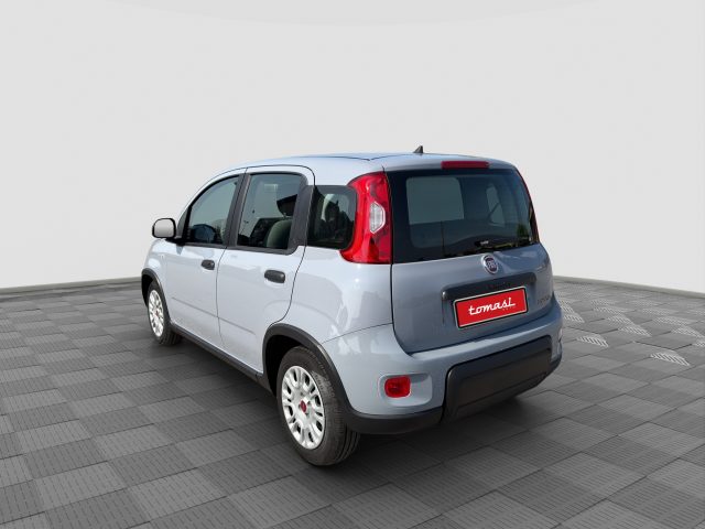 Fiat Panda Panda 1.0 FireFly Hybrid City Life - foto 3 di 4