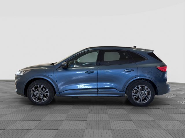 Ford Kuga Kuga 2.5 Plug In Hybrid 225 CV CVT 2WD ST-Line - foto 2 di 4