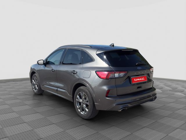 Ford Kuga Kuga 2.5 Plug In Hybrid 225 CV CVT 2WD ST-Line - foto 3 di 4
