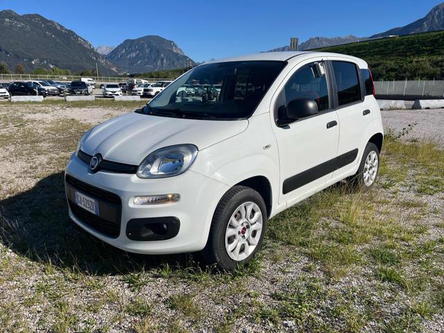 Fiat Panda Fiat Panda 4x4 Pop Van 2 posti AUTOCARRO, del 2020, 94.500 km, in vendita a Gemona Del Friuli (UD)