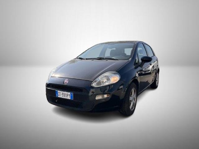 Fiat Punto 1.2 8V 5 porte Pop usato a ERACLEA