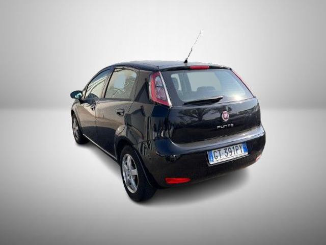 Fiat Punto 1.2 8V 5 porte Pop - foto 2 di 4