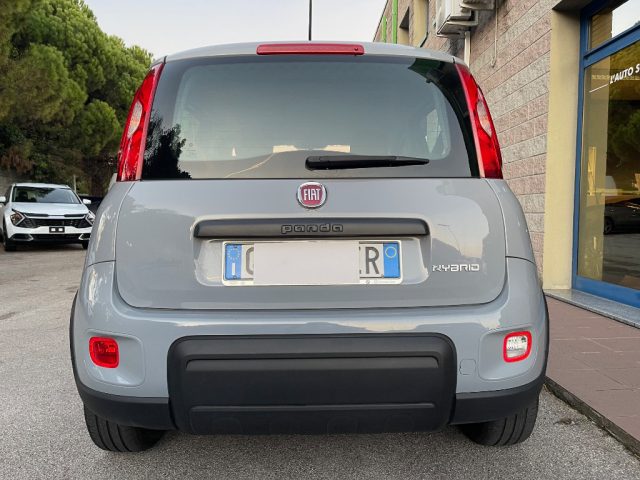 Fiat Panda 1.0 FIREFLY HYBRID 70CV CITY LIFE BLUETOOH - foto 4 di 4