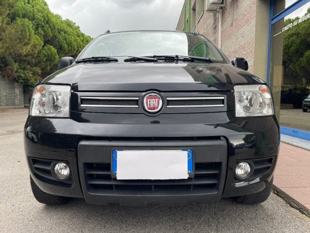 Fiat Panda 1.2 4X4 69CV usato a VENEZIA