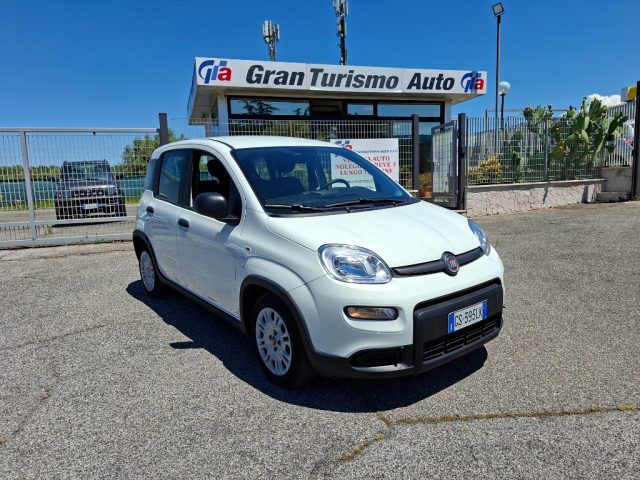 Fiat Panda 1.0 FireFly Hybrid CITY LIFE 5POSTI PREZZO REALE! usato a CIAMPINO