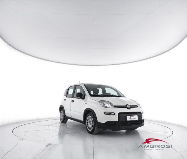 Fiat Panda 1.0 FireFly S&S Hybrid 5P. Ti - foto 3 di 4