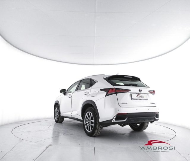 Lexus NX 300h Hybrid 4WD Executive - foto 4 di 4