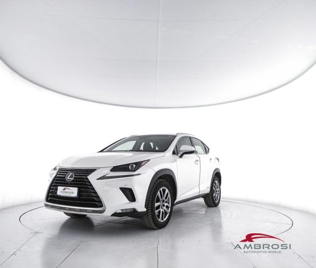 Lexus NX 300h Hybrid 4WD Executive usato a CORCIANO
