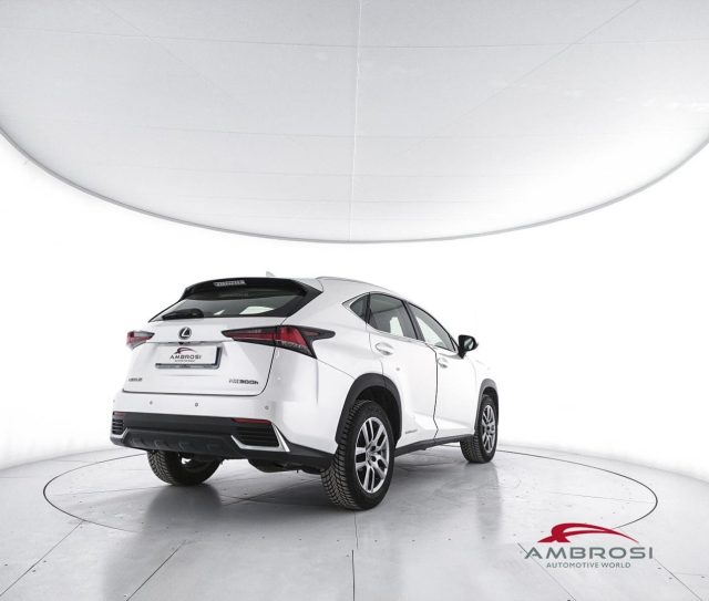 Lexus NX 300h Hybrid 4WD Executive - foto 3 di 4