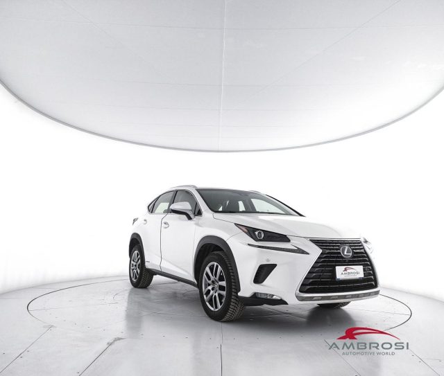 Lexus NX 300h Hybrid 4WD Executive - foto 2 di 4