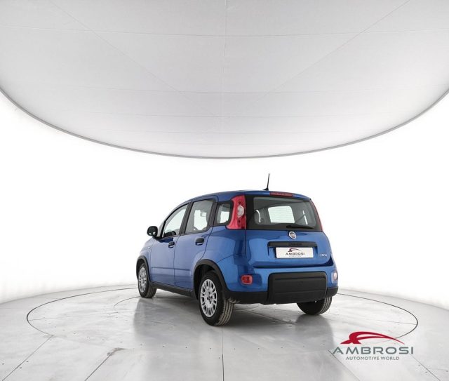 Fiat Panda 1.0 firefly hybrid s&s 70cv - foto 4 di 4