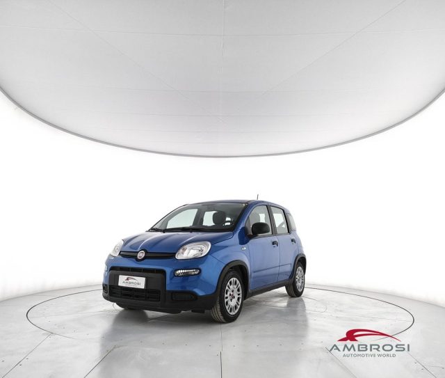 Fiat Panda 1.0 firefly hybrid s&s 70cv usato a CORCIANO