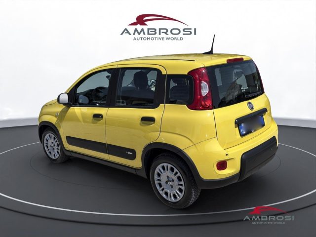 Fiat Panda 1.0 firefly hybrid s&s 70cv - foto 4 di 4