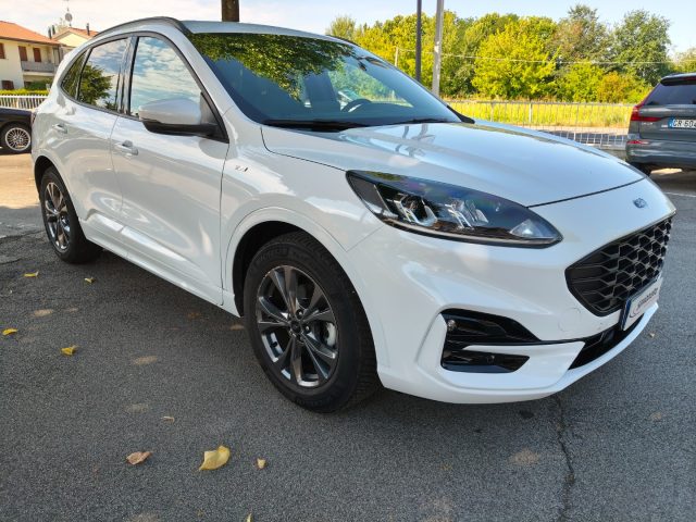 Ford Kuga 1.5 EcoBlue 120 CV aut. 2WD ST-Line - foto 4 di 4