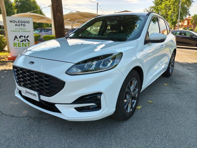 Ford Kuga 1.5 EcoBlue 120 CV aut. 2WD ST-Line usato a RESANA