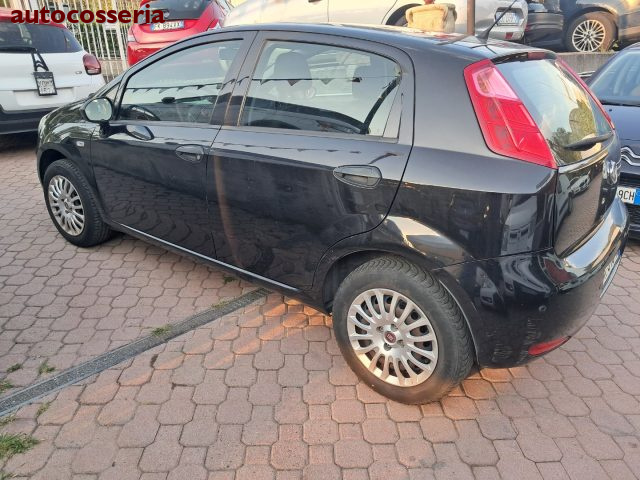 Fiat Punto Evo 1.2 usato a COSSERIA