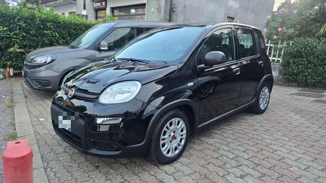 Fiat Panda 1.0 FireFly S&S Hybrid, del 2023, 53.000 km, in vendita a Castiglione Olona (VA)
