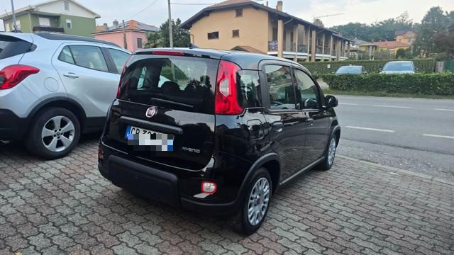 Fiat Panda 1.0 FireFly S&S Hybrid - foto 4 di 4