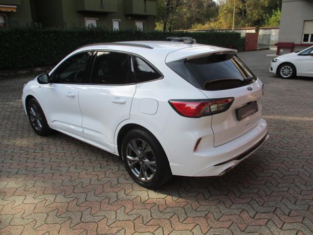 Ford Kuga 1.5 EcoBoost 150 CV 2WD ST-Line - foto 4 di 4