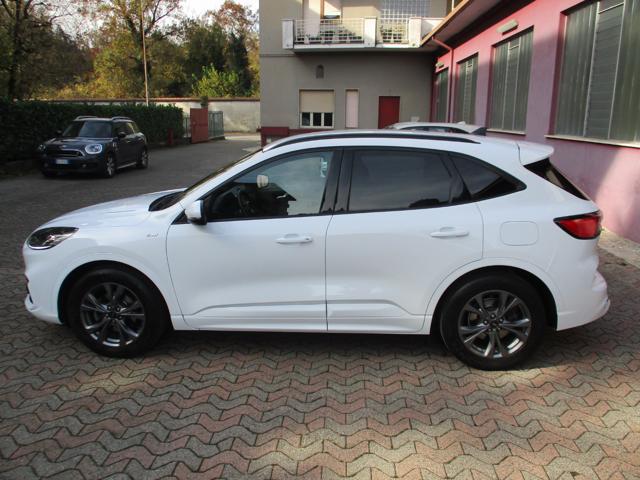 Ford Kuga 1.5 EcoBoost 150 CV 2WD ST-Line - foto 3 di 4