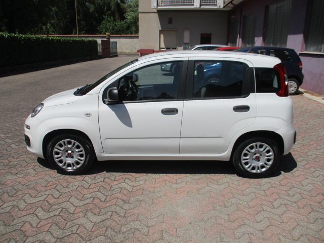 Fiat Panda 1.0 FireFly S&S Hybrid*PREZZO REALE - foto 3 di 4