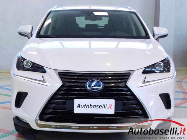 Lexus NX 300 NX300H HYBRID BUSINESS AUTOMATICA CVT usato a QUINZANO D OGLIO