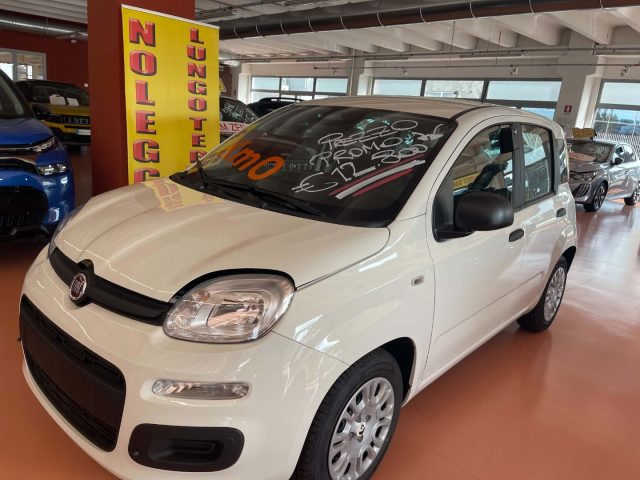 Fiat Pandina 1.0 FireFly 65 CV Hybrid Icon - foto 3 di 8
