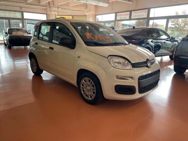 Fiat Pandina 1.0 FireFly 65 CV Hybrid Icon - foto 2 di 8
